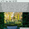 WTF Fun Fact 12703 – The Ancient Art of Topiary