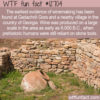 WTF Fun Fact 12704 – The World’s Oldest Wine