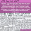 WTF Fun Fact 12699 – A Shark Attack Of A Different Sort