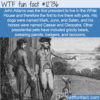 WTF Fun Fact 12736 – When Cleopatra Lived in the White House