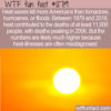 WTF Fun Facts 12719 – When Weather Kills