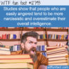 WTF Fun Fact 12793 – Angry People Overestimate Their Intelligence