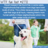 WTF Fun Fact 12772 – Real-Life Paw Patrol
