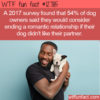 WTF Fun Facts 12785 – Dogs Are Family