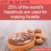 WTF Fun Fact 12792 – Hazelnuts In Nutella
