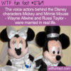 WTF Fun Fact 12769 – The Marriage of Mickey and Minnie Mouse