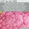 WTF Fun Fact 12892 – McDonald’s Bubblegum-Flavored Broccoli