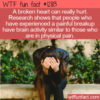WTF Fun Fact 12813 – Heartbreaks Hurt