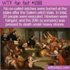 WTF Fun Fact 12888 – No Witches Were Burned At The Stake At Salem