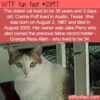 WTF Fun Fact 12897 – The World’s Oldest Cat