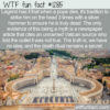 WTF Fun Fact 12815 – Is A Hammer Used When a Pope Dies?