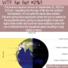 WTF Fun Fact 12963 – The Autumn Equinox