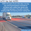 WTF Fun Fact 12933 – Two California Tomato Highway Spills