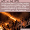 WTF Fun Fact 12928 – The Church Rocket War