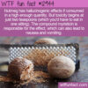 WTF Fun Fact 12944 – The Hallucinogenic Effects of Nutmeg
