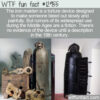 WTF Fun Fact 12955 – The Iron Maiden Myth