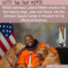 WTF Fun Fact 12970 – Leland Melvin and the “Astro Dog” Photo