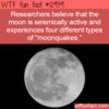WTF Fun Fact 12939 – Moonquakes