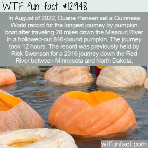 wtf funny facts