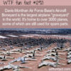 WTF Fun Fact 12921 – The Airplane “Boneyard” in Tucson