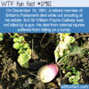 WTF Fun Fact 12982 – Death By Turnip