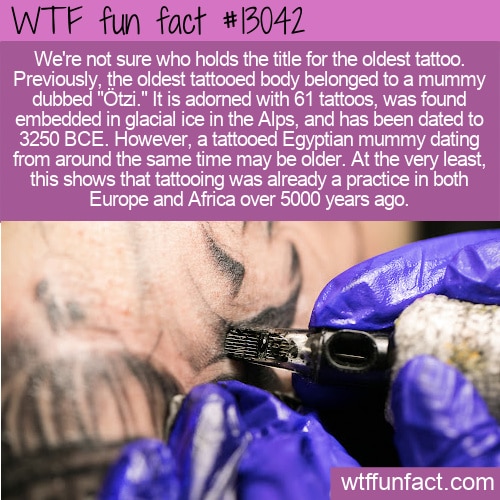 WTF Fun Fact 13042 - The World's Oldest Tattoos