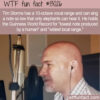 WTF Fun Fact 13026 – The Lowest Vocal Note