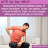 WTF Fun Fact 13049 – Missing Work for Back Pain
