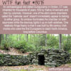 WTF Fun Fact 13075 – Gungywamp