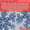 WTF Fun Fact 13079 – Snowflakes Require Dust or Pollen