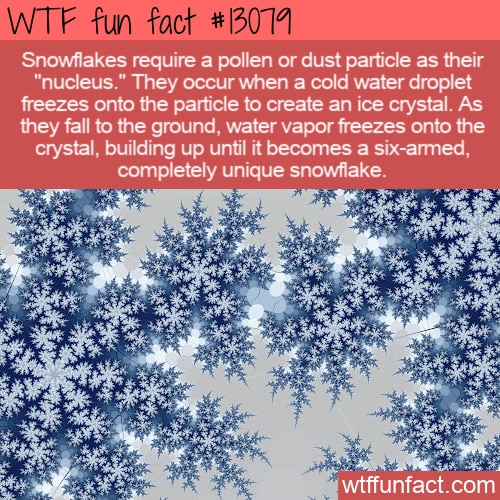 Cool Facts About Snowflakes - The Fact Site