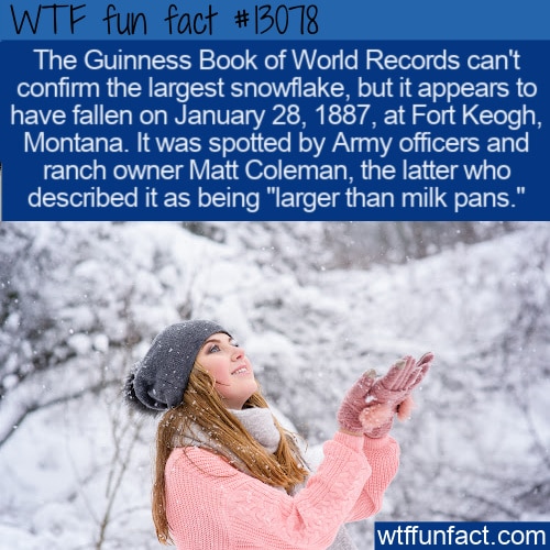 World Largest Snowflake, world record at Fort Keogh, Montana