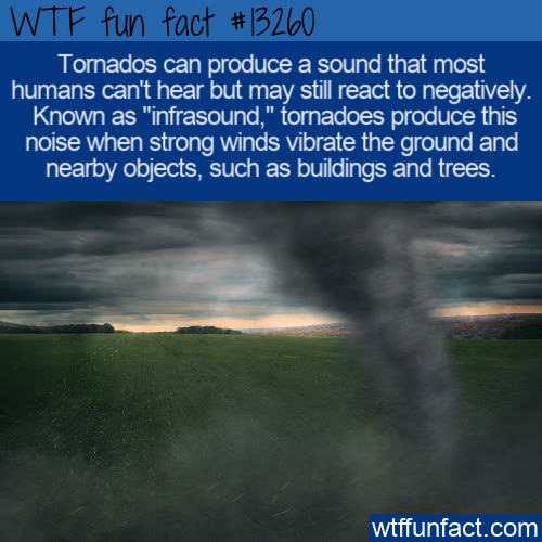 WTF Fun Fact 13260 - Tornados Produce Infrasound
