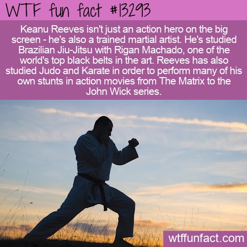 WTF Fun Fact Keanu Reeves Martial Arts 