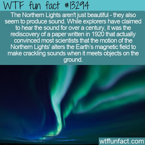 Northern Lights Facts - Learn about Aurora Borealis - Wandering Owl 💚