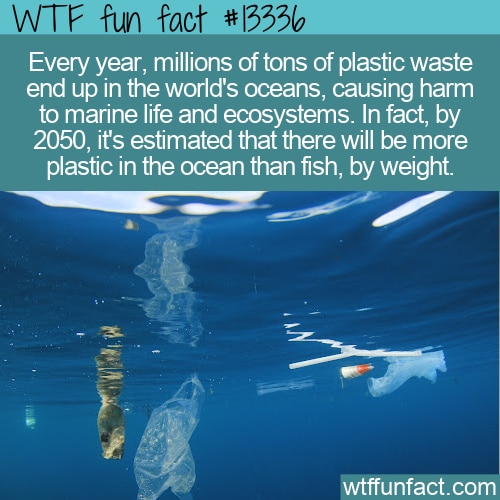 Facts About the World's Oceans